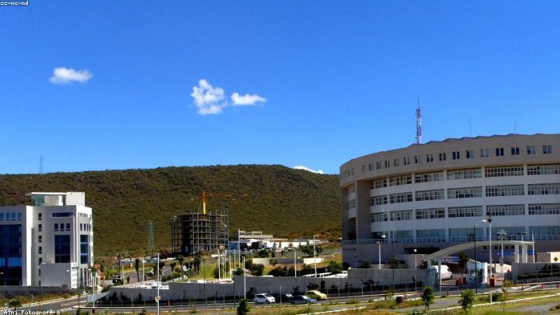 91网首页主视觉：智慧资讯与数字服务